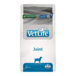 Canine Joint