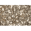 Wildvogelmischung PREMIUM