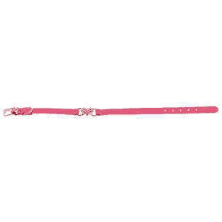 Deluxe Collar Heart