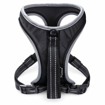 Geschirr Sport Soi Uni schwarz