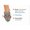 Pfotenschutzschuhe Pro Active