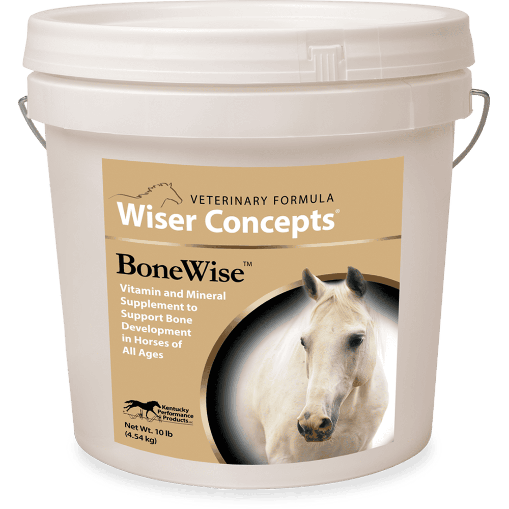 BoneWise