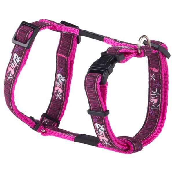 Harnais pour chien Fancy Dress XL