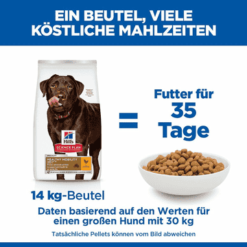 Canine Adult Healthy Mobility Large Breed