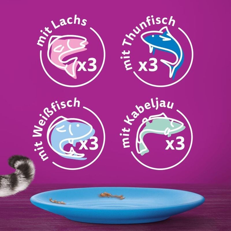 1+ Fisch Auswahl in Gelée