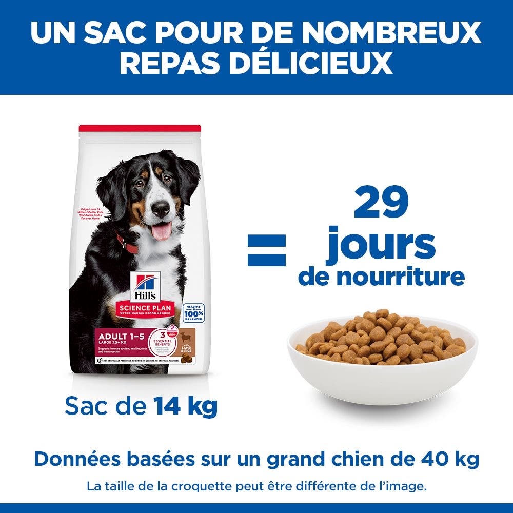Canine Adult Large Breed Lamb & Rice