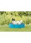 Piscine pour chiens