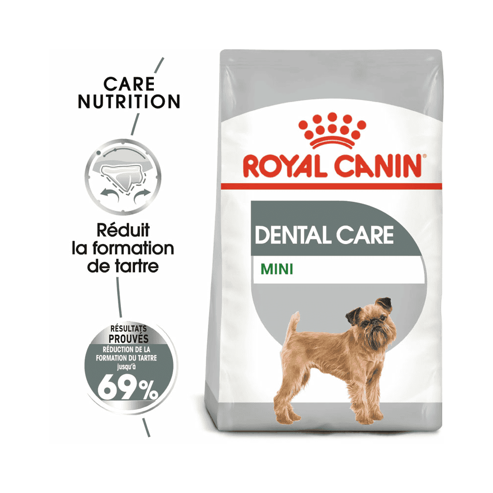 Dental Care Mini
