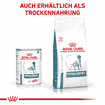 Hypoallergenic Dog - Dose