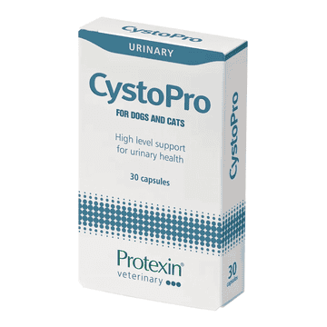 CystoPro