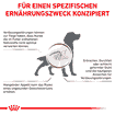 Gastrointestinal Dog