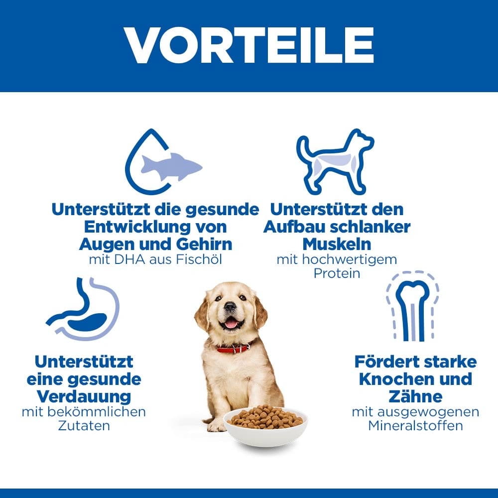 Puppy Large Breed