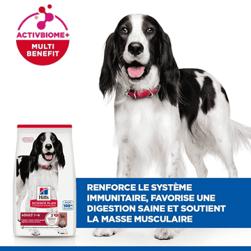 Canine Adult Medium Breed Lamb & Rice