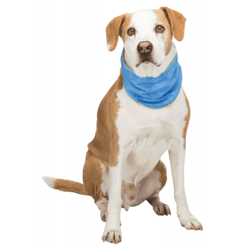 Cooling bandana PVA