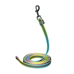 ABS Mediumflex - Laisse à pister, édition Aurora