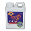 Kick Up