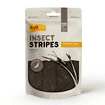 Insect Stripes mit Karotten
