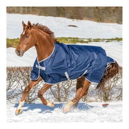 Couverture d'hiver Freedom Turnout 300 g