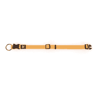 TrendLine ONE Collier, orange