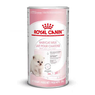 Babycat Milk