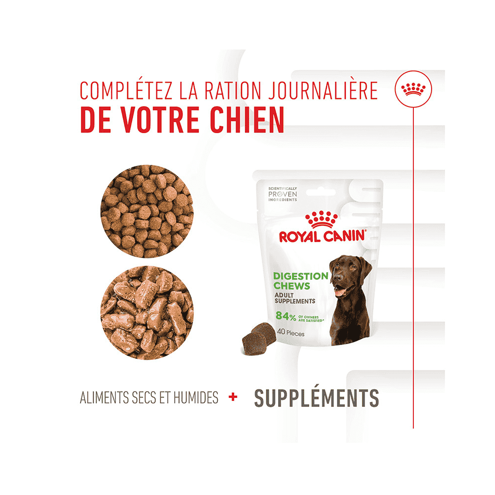 Digestion Chews Adult Supplements