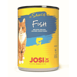JosiCat Fish in Sauce