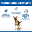 Canine Mature Adult 6+ Large Breed
