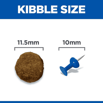 Canine Adult Medium Breed Lamb & Rice