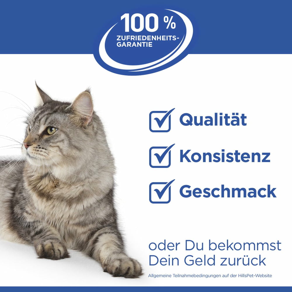 Feline Oral Care