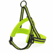 Geschirr Nordic Sport L