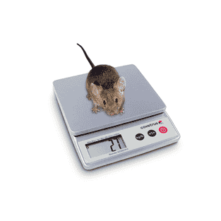 digitale Kleintierwaage