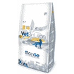 Urinary Oxalate