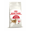 Fit 32