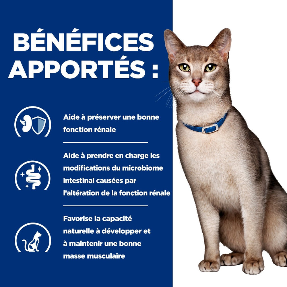 Feline k/d Kidney Care Salmon (anciennement : tuna)