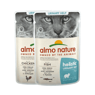 Holistic Urinary Help