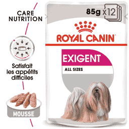 Exigent Wet
