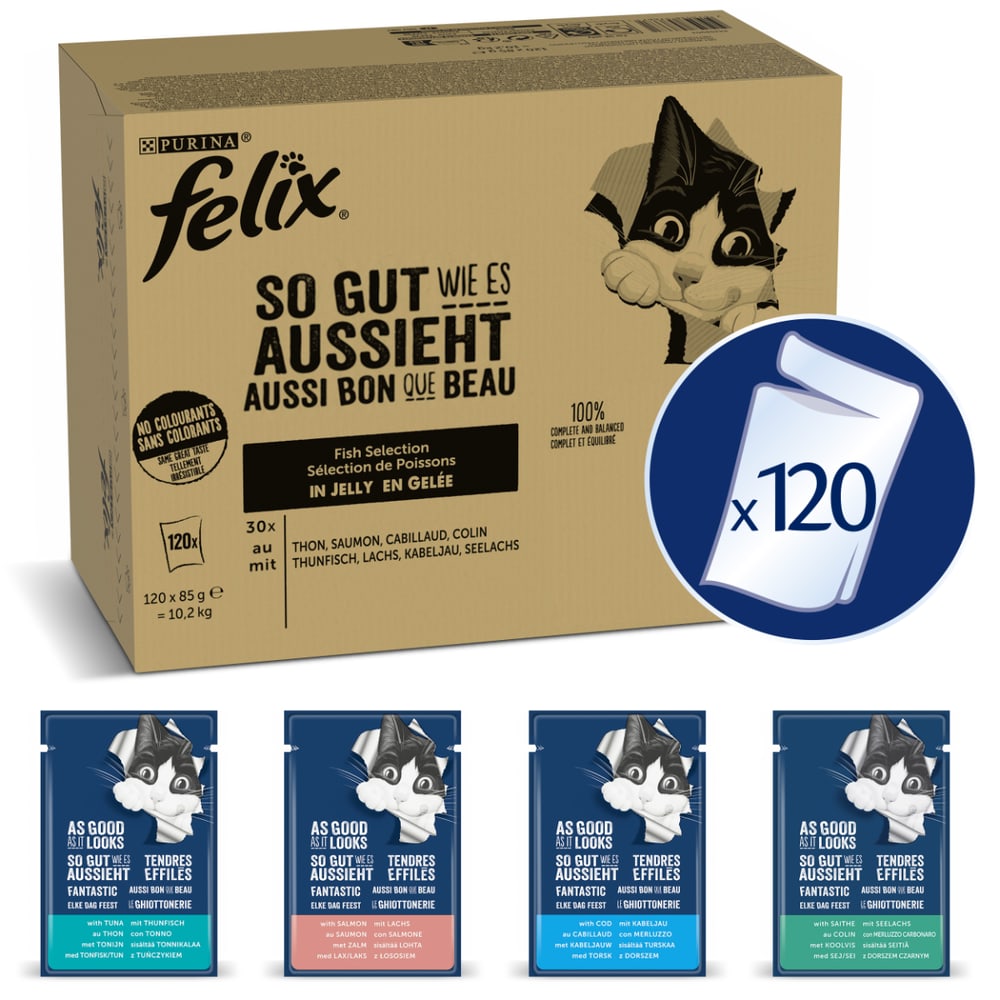 So gut wie es aussieht Fisch Mega-Jumbo Pack 120x85g
