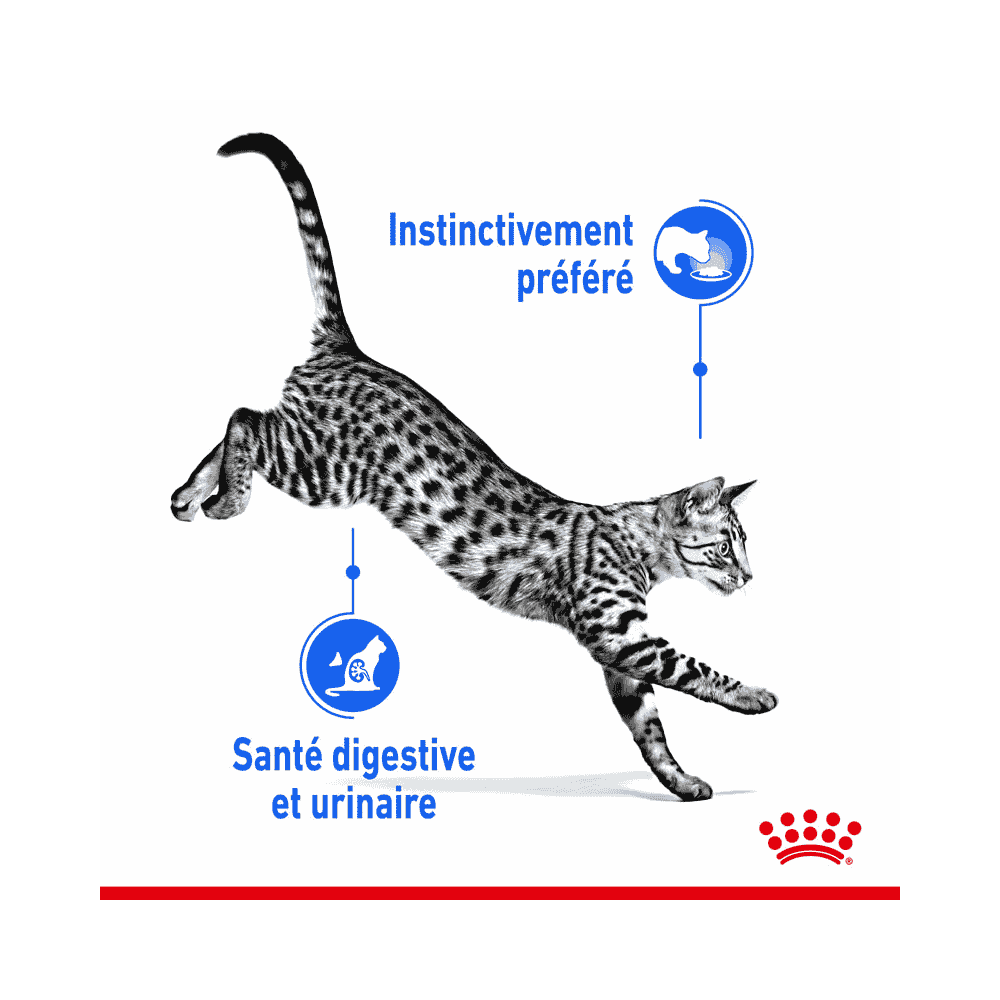 Indoor Sterilised Cat en sauce - sachet