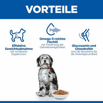 Canine Perfect Weight + Active Mobility Medium Breed