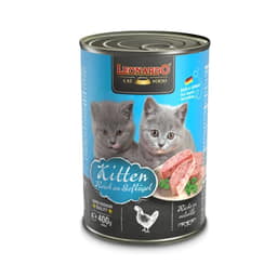 Kitten Reich an Geflügel