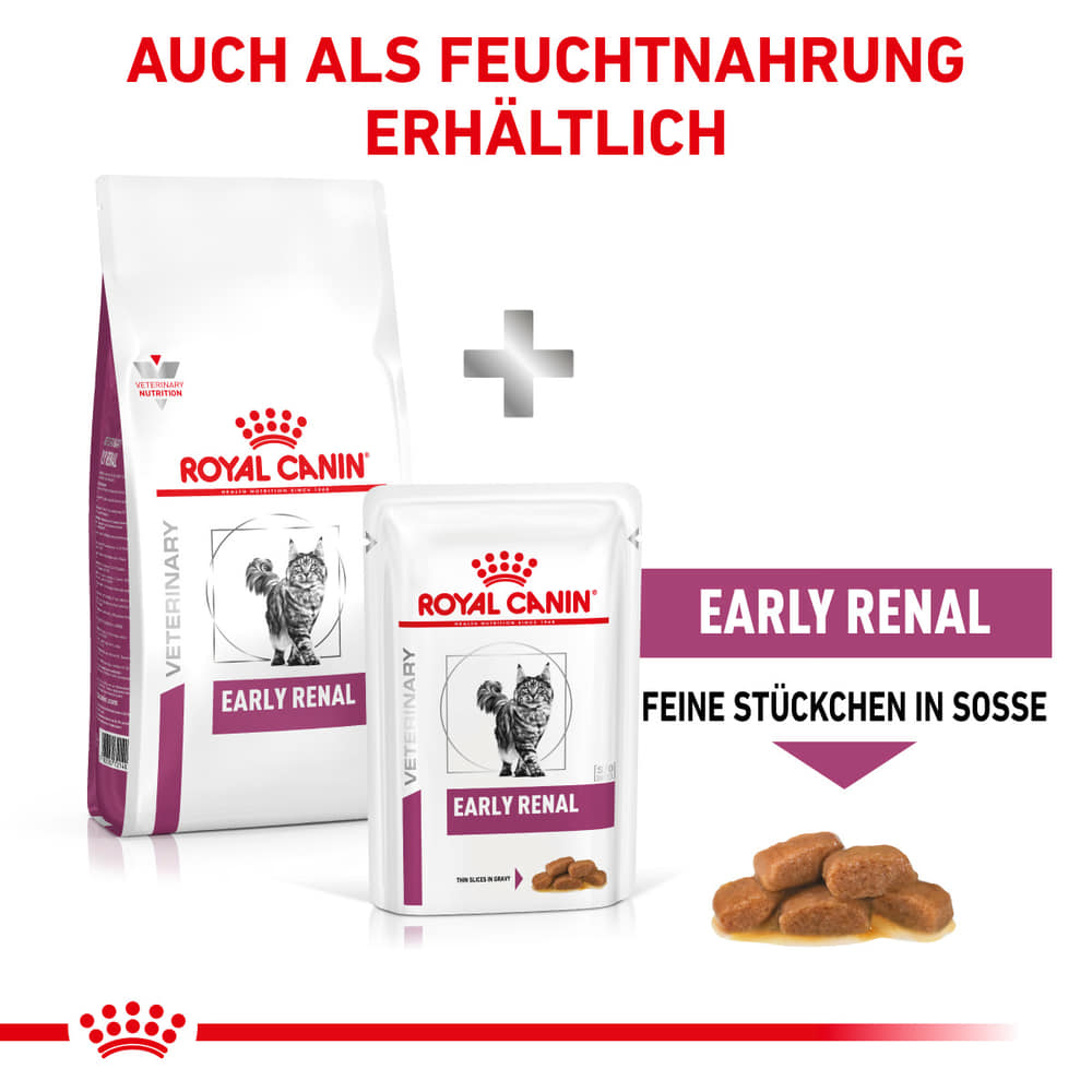 Early Renal Cat