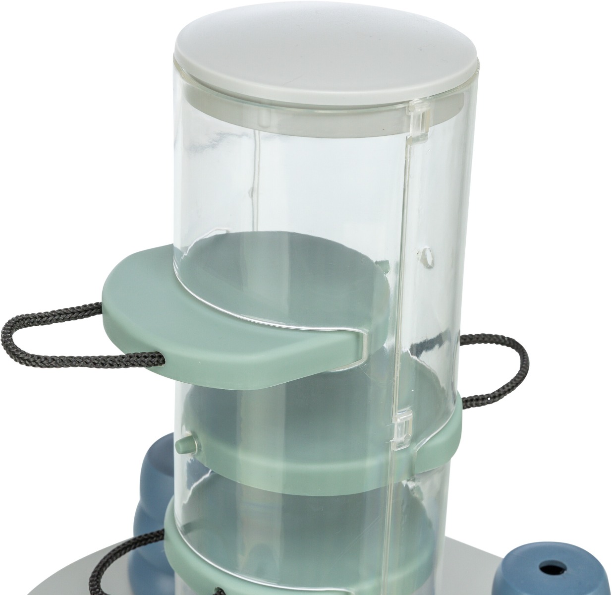 Dog Activity Gambling Tower