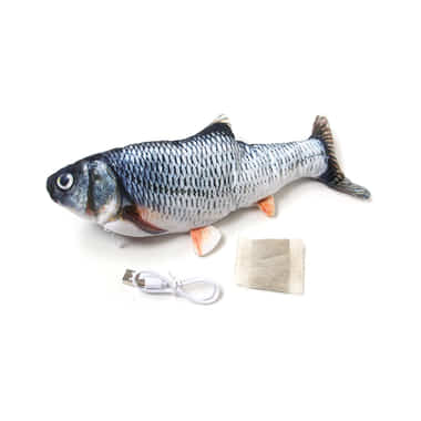 Fish-Dancer Karpfen