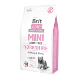 Care Mini Yorkshire Lachs & Thunfisch