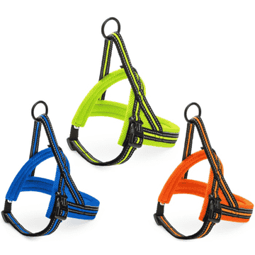 Nordic Sport Mini M4 harness