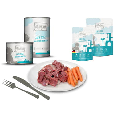Zarte Ziege an leckeren Möhrchen (chèvre & carottes)