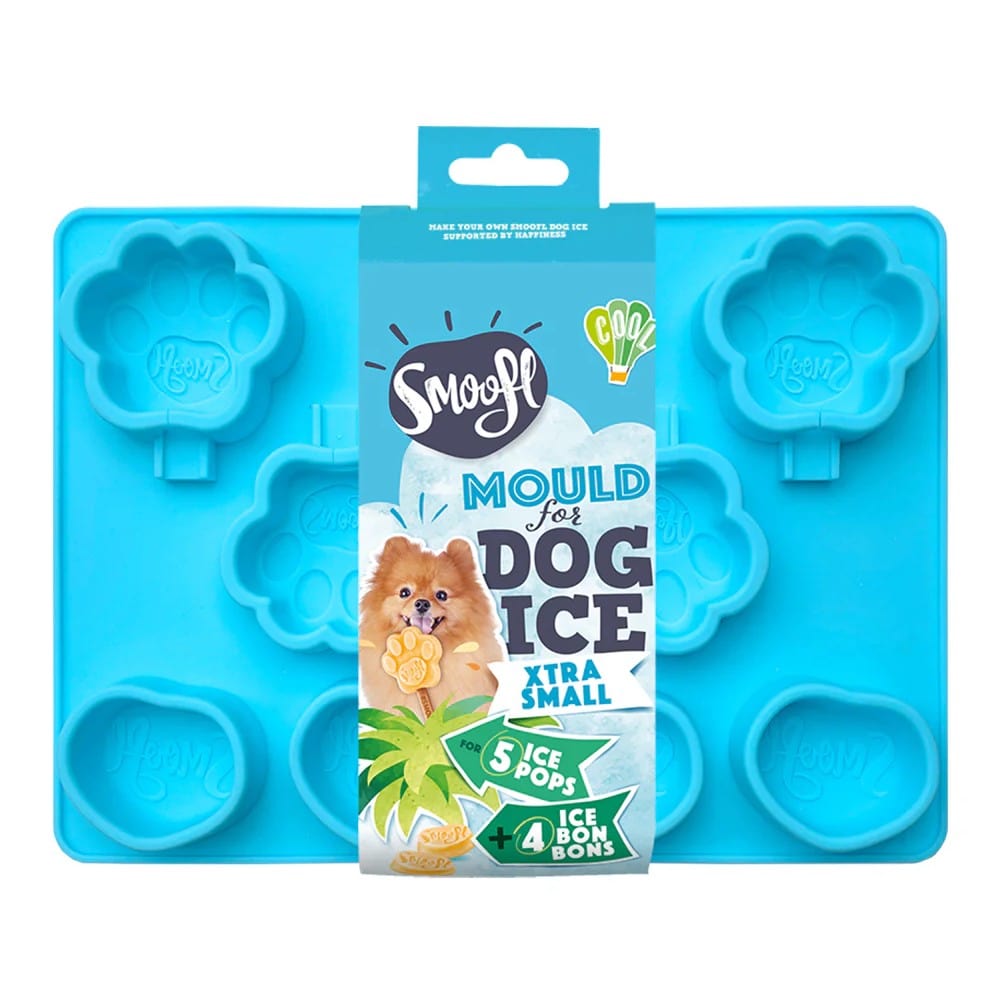 Moule à glace XS
