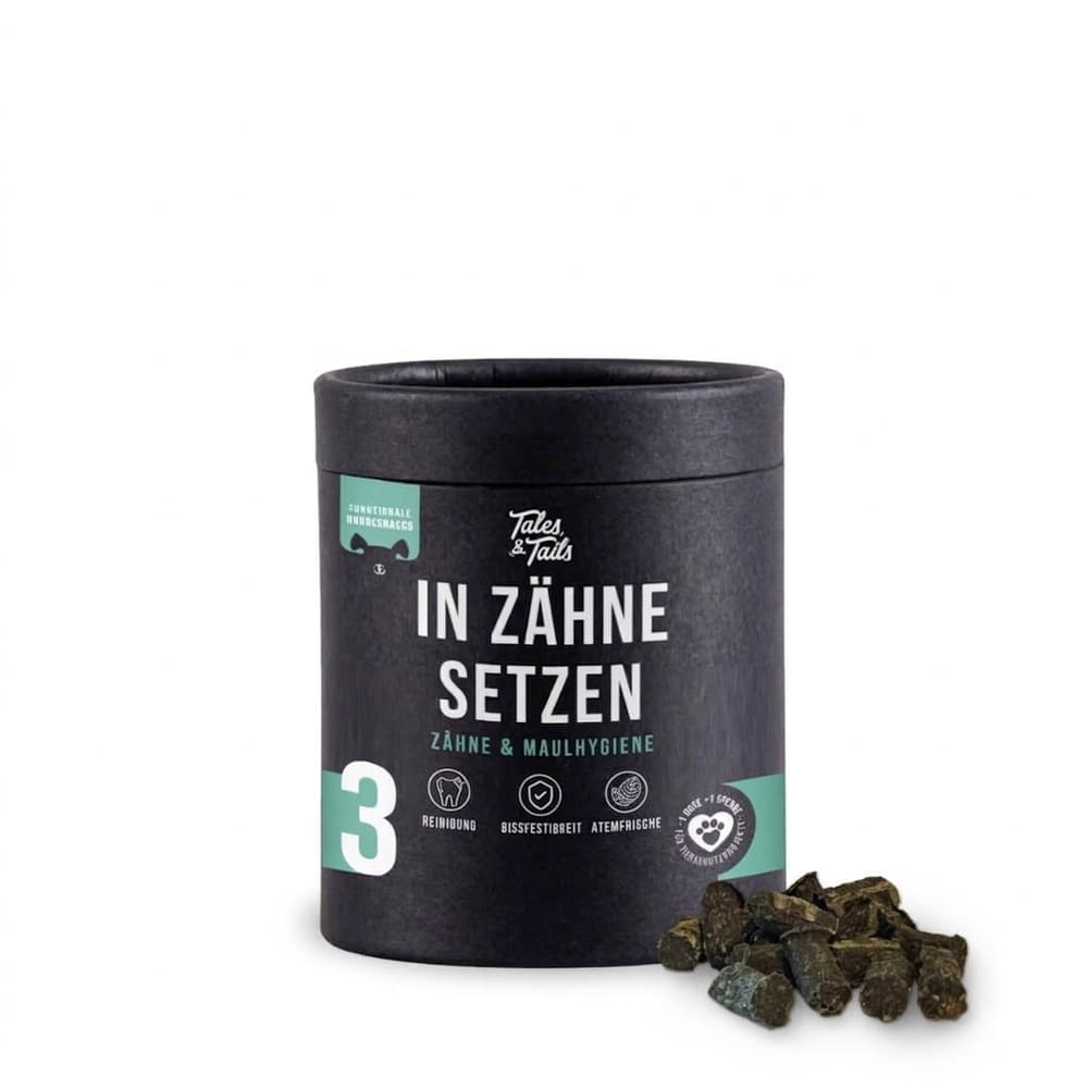 In Zähne setzen