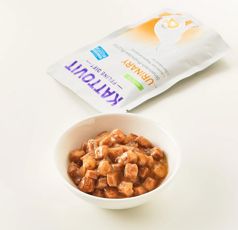 Urinary im Beutel