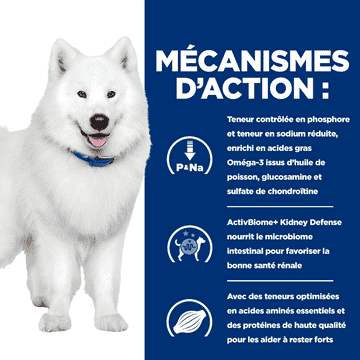 Canine k/d + j/d Kidney + Mobility